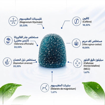 علكات مركب المغنيسيوم – Magnesium Complex Gummies